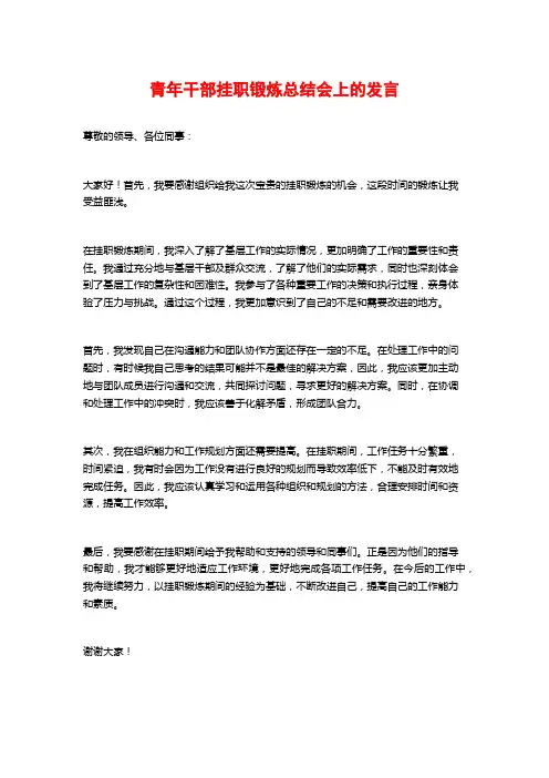 青年干部挂职锻炼总结会上的发言
