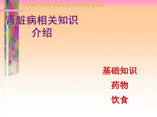 肾脏病相关知识介绍ppt课件