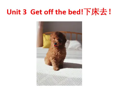 新概念英语青少版课件-starter B Unit 3 Get off the bed!(第一课时)