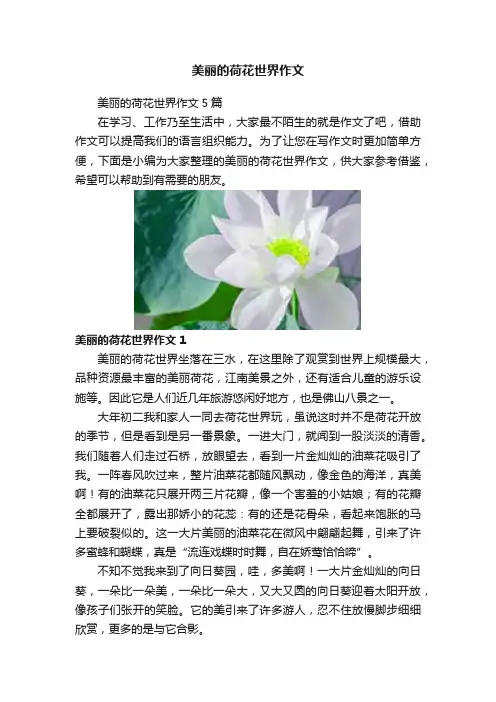 美丽的荷花世界作文