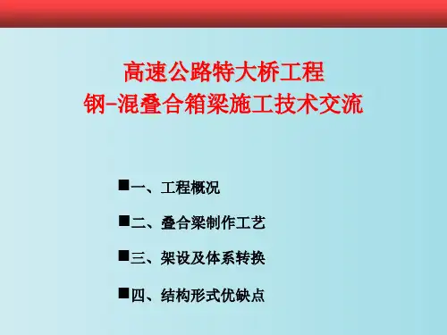 高速公路特大桥工程钢-混叠合箱梁施工技术交流 教学PPT课件