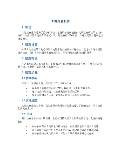 土地巡查报告