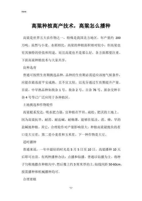 高粱种植高产技术,高粱怎么播种