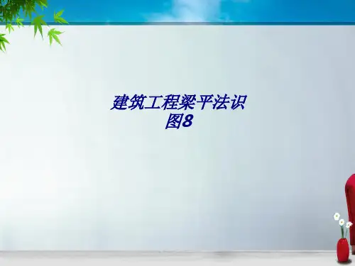 建筑工程梁平法识图专题培训课件