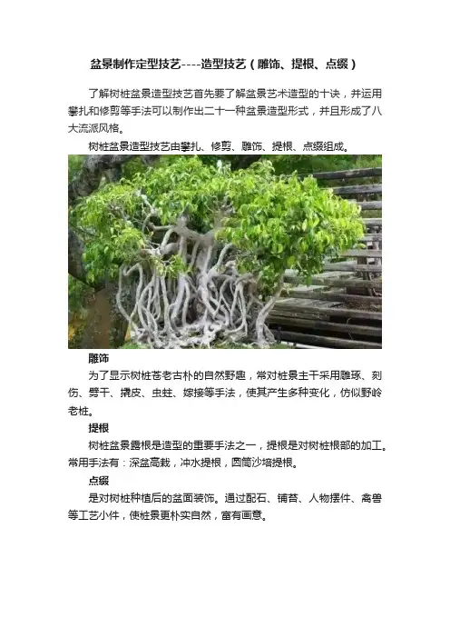 盆景制作定型技艺----造型技艺（雕饰、提根、点缀）