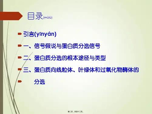 蛋白质分选651.pptx