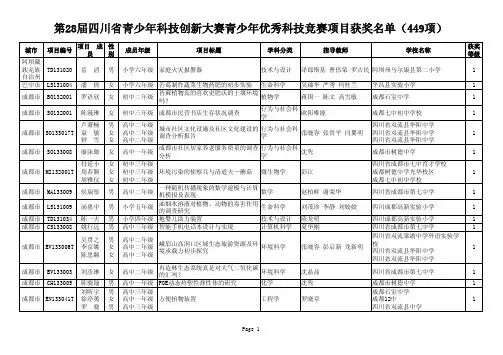 四川 28届科技项目获奖名单