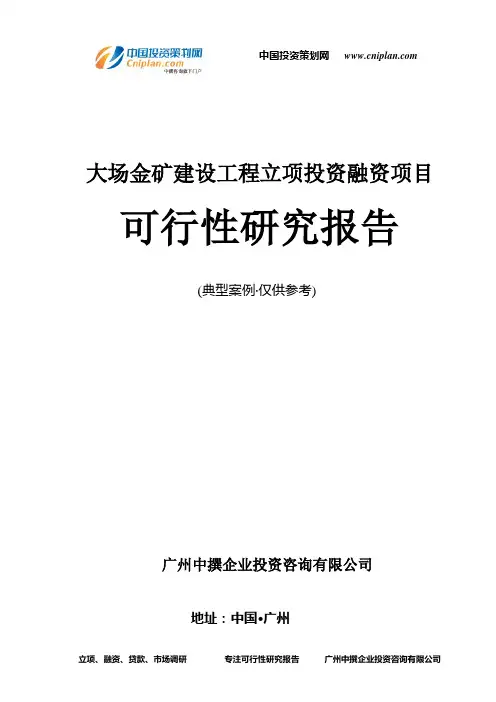 大场金矿建设工程融资投资立项项目可行性研究报告(非常详细)