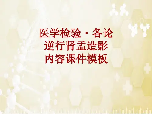 医学检验·检查项目：逆行肾盂造影_课件模板