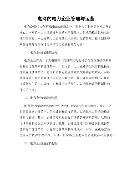 电网的电力企业管理与运营