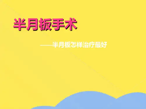 半月板手术(共7张PPT)