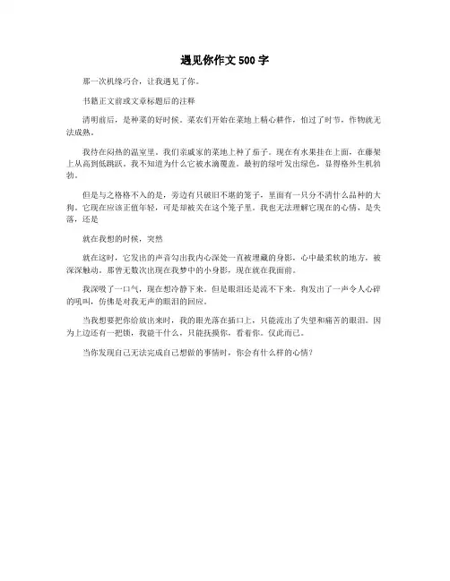 遇见你作文500字