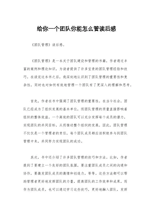 给你一个团队你能怎么管读后感
