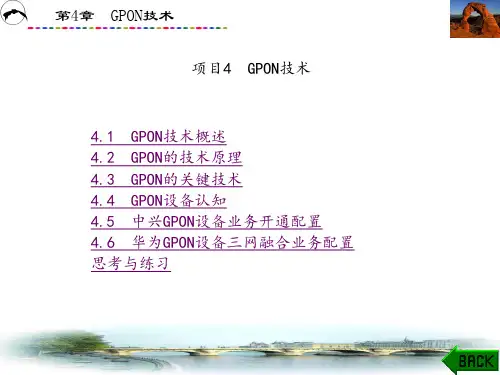 宽带接入技术与应用(张庆海)章 (4)