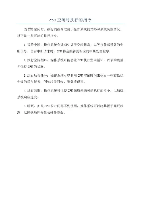 cpu空闲时执行的指令