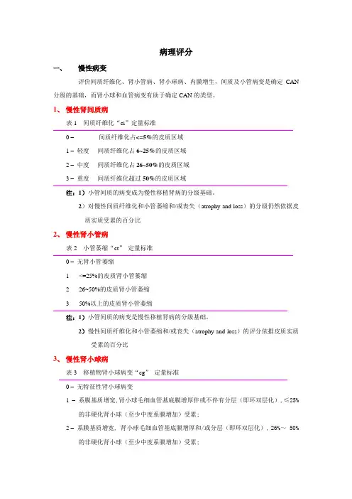 病理评分内容及标准