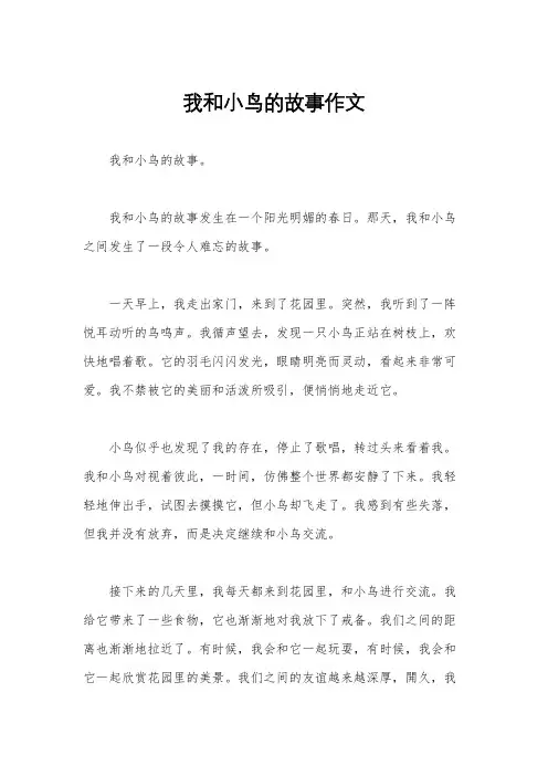 我和小鸟的故事作文