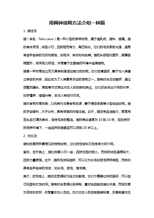 用两种说明方法介绍一种猫