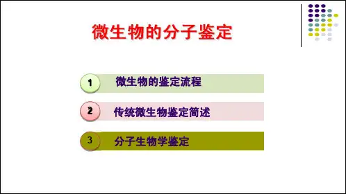 微生物的分子鉴定