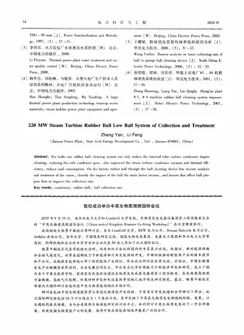 我校成功举办中英生物质混燃国际会议