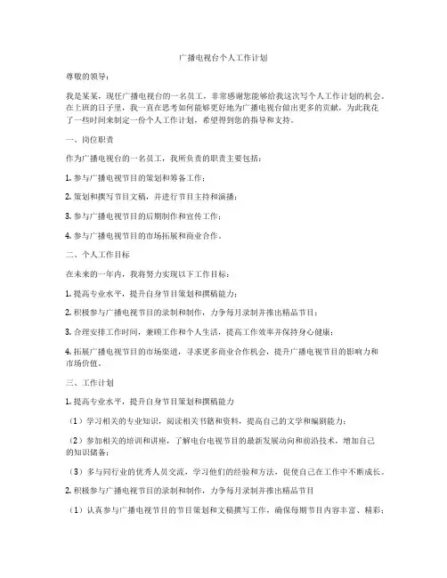 广播电视台个人工作计划