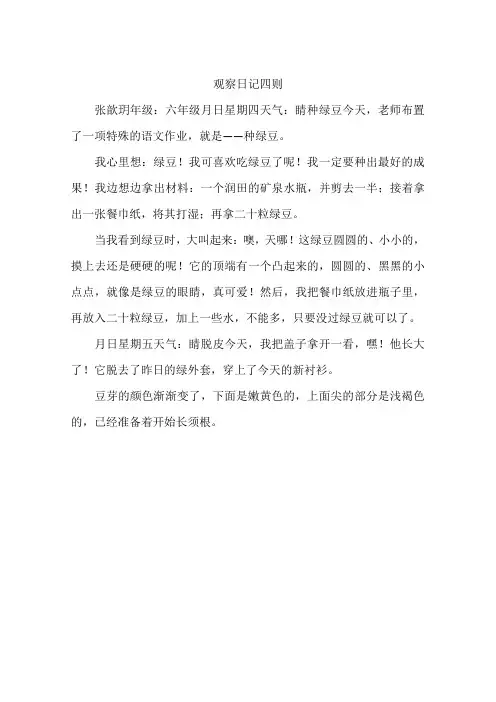 观察日记四则-作文
