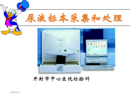 尿液检验-ppt课件