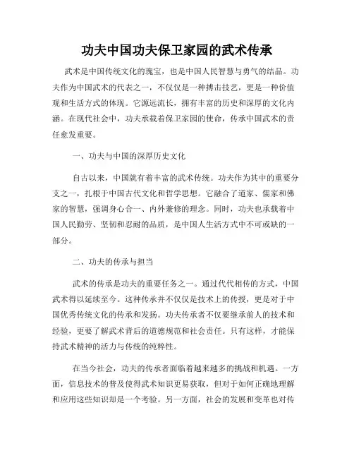 功夫中国功夫保卫家园的武术传承