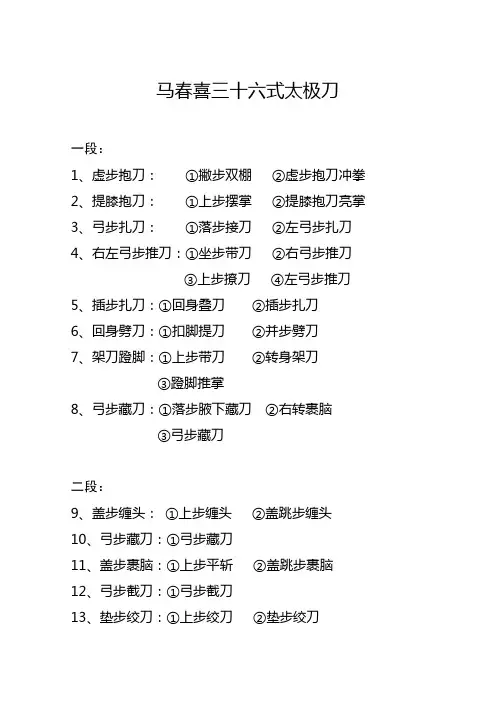 马春喜三十六式太极刀