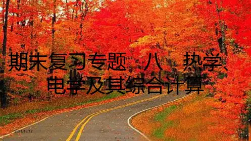 九年级物理下册 期末复习专题八 热学、电学及其综合计算课件