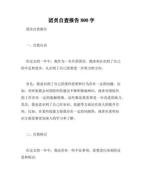 团员自查报告800字