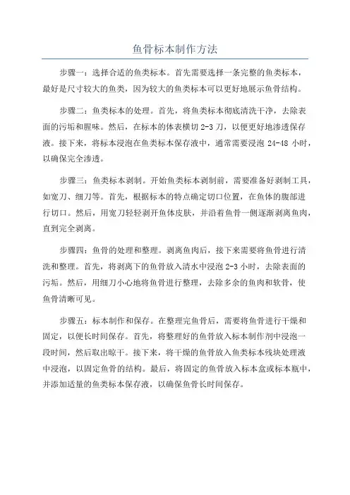 鱼骨标本制作方法