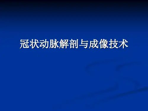 冠状动脉解剖与冠心病ct-精品文档