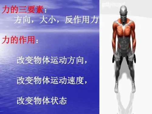 《针刀医学》PPT课件