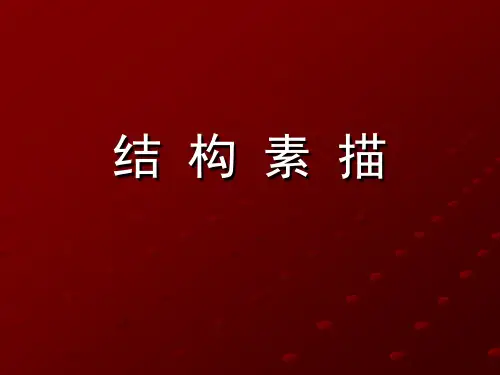 设计素描---结构素描