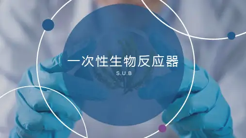 一次性生物反应器