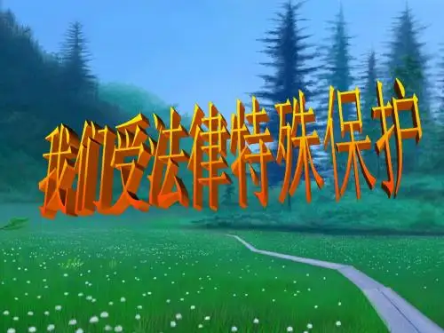 3.法律对未成年人的特殊保护