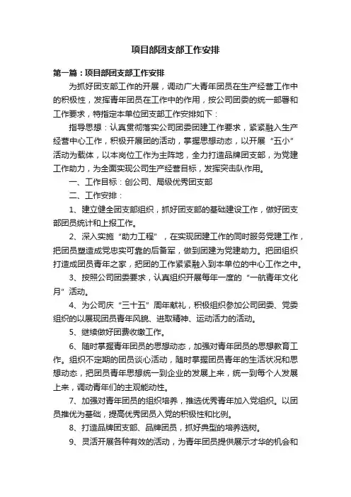 项目部团支部工作安排
