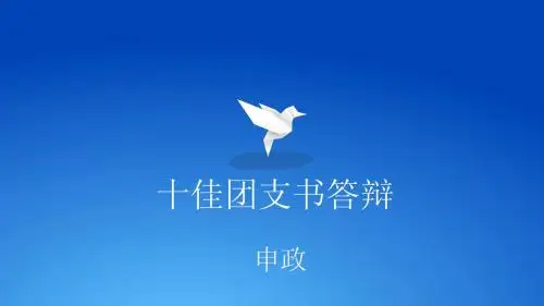 十佳团支书 答辩 申政