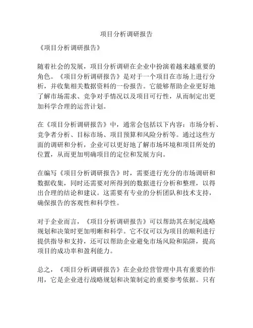项目分析调研报告