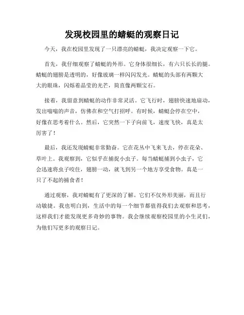 小学三年级作文发现校园里的蜻蜓的观察日记