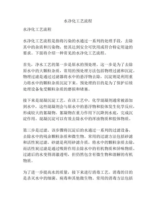 水净化工艺流程