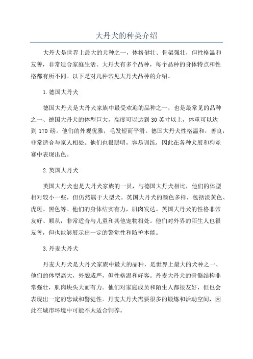 大丹犬的种类介绍