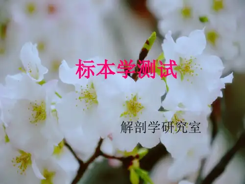 人体解剖学标本考试(附答案)