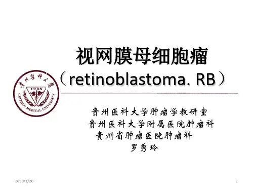 视网膜神经母细胞瘤教学版PPT参考课件