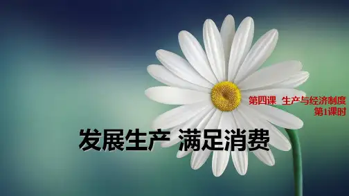 人教版高中政治必修1精品课件14：4.1 发展生产 满足消费