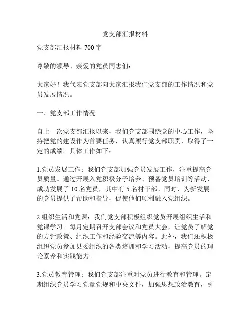 党支部汇报材料