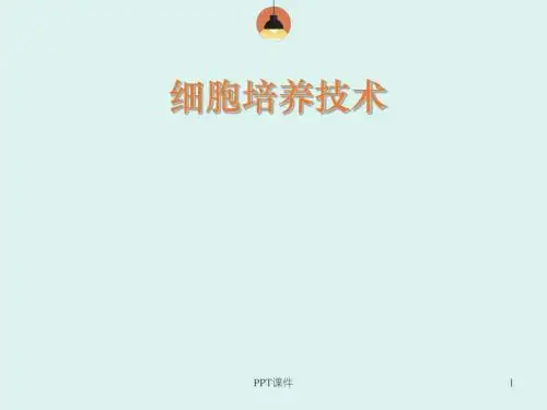细胞培养技术   ppt课件