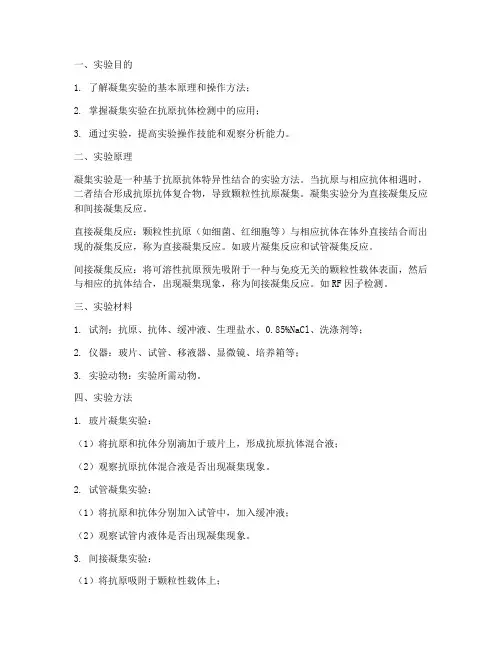 凝集实验实验报告