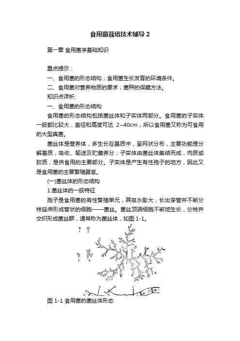 食用菌栽培技术辅导2